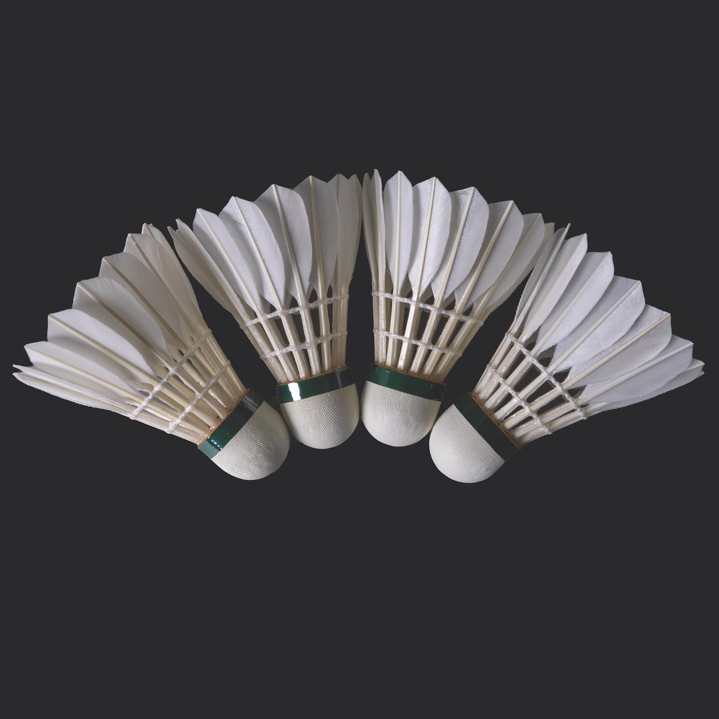 AEROSENSA – suurturniiride standard